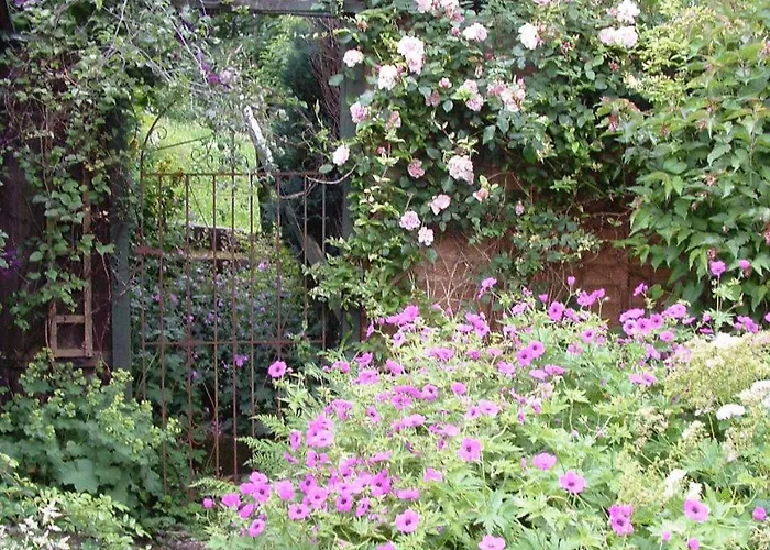 Holly Cottages